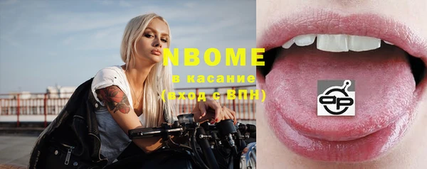 стаф Болхов
