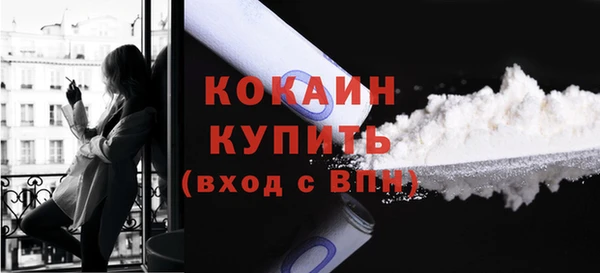 индика Балахна