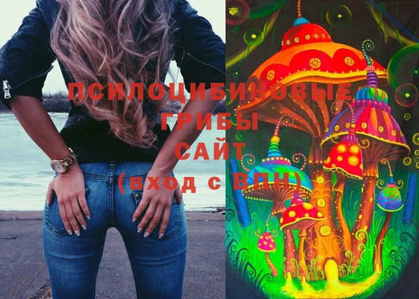 индика Балахна