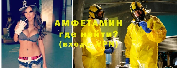 индика Балахна