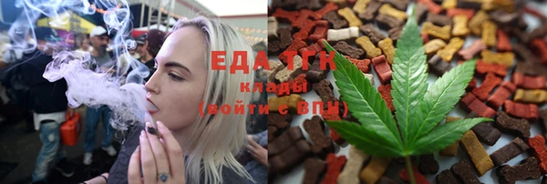 индика Балахна