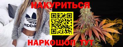 прущие грибы Усть-Илимск