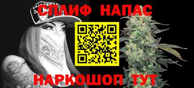 прущие грибы Усть-Илимск