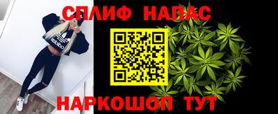 прущие грибы Усть-Илимск