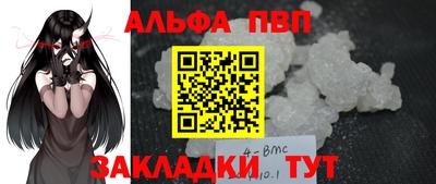прущие грибы Усть-Илимск