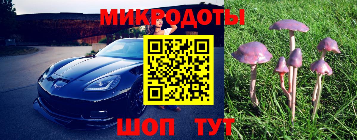 Печора  Галлюциногенные грибы мухоморы  Вход с VPN 