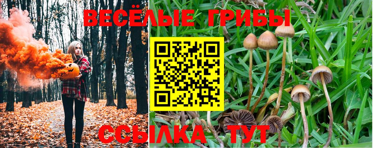 Галлюциногенные грибы MAGIC MUSHROOMS Печора